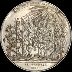 Наградная медаль 1903 года "За отличие"