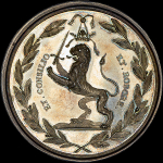 Медаль "В память заслуг графа Ф.А. Головина"