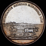 Медаль "Карл XIV  Сельскохозяйственная выставка" (Швеция)