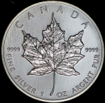 5 долларов 1989 (Канада)