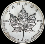 5 долларов 1990 (Канада)