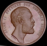 Медаль "14-я Общешведская сельскохозяйственная выставка в Норрчёпинге" 1876 (Швеция)