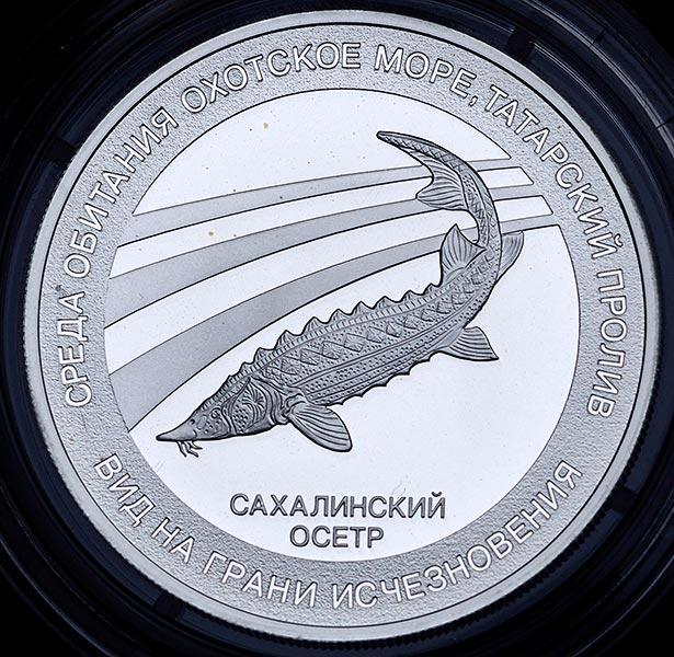 Медаль "Красная книга России  Сахалинский осетр"