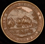 Медаль "Наполеон: Могила на Острове Св  Елены"