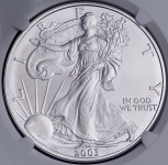 1 доллар 2003 "Американский серебряный орел" (США) (в слабе)