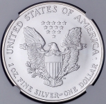 1 доллар 2004 "Американский серебряный орел" (США) (в слабе)