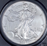 1 доллар 2007 "Американский серебряный орел" (США) (в слабе)