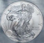 1 доллар 2009 "Американский серебряный орел" (США) (в слабе)