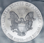 1 доллар 2009 "Американский серебряный орел" (США) (в слабе)