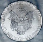 1 доллар 2010 "Американский серебряный орел" (США) (в слабе)
