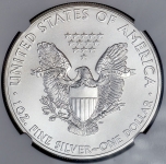 1 доллар 2013 "Американский серебряный орел" (США) (в слабе)