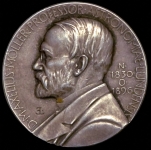 Медаль "Аксель Меллер"