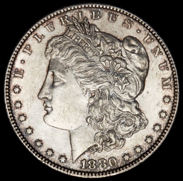1 доллар 1880 (США)