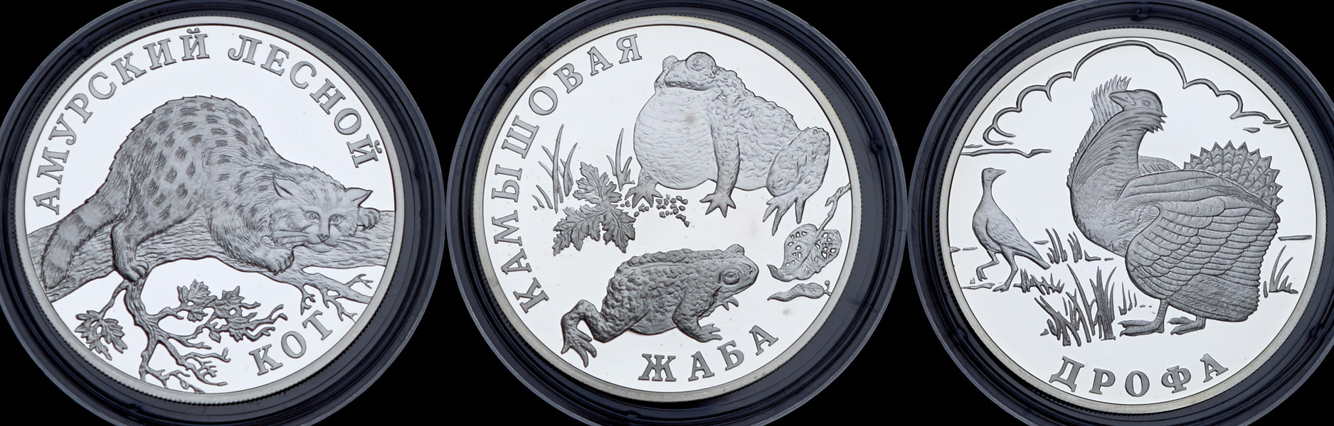 Набор из 3-х сер  монет 1 рубль 2004 "Красная книга"