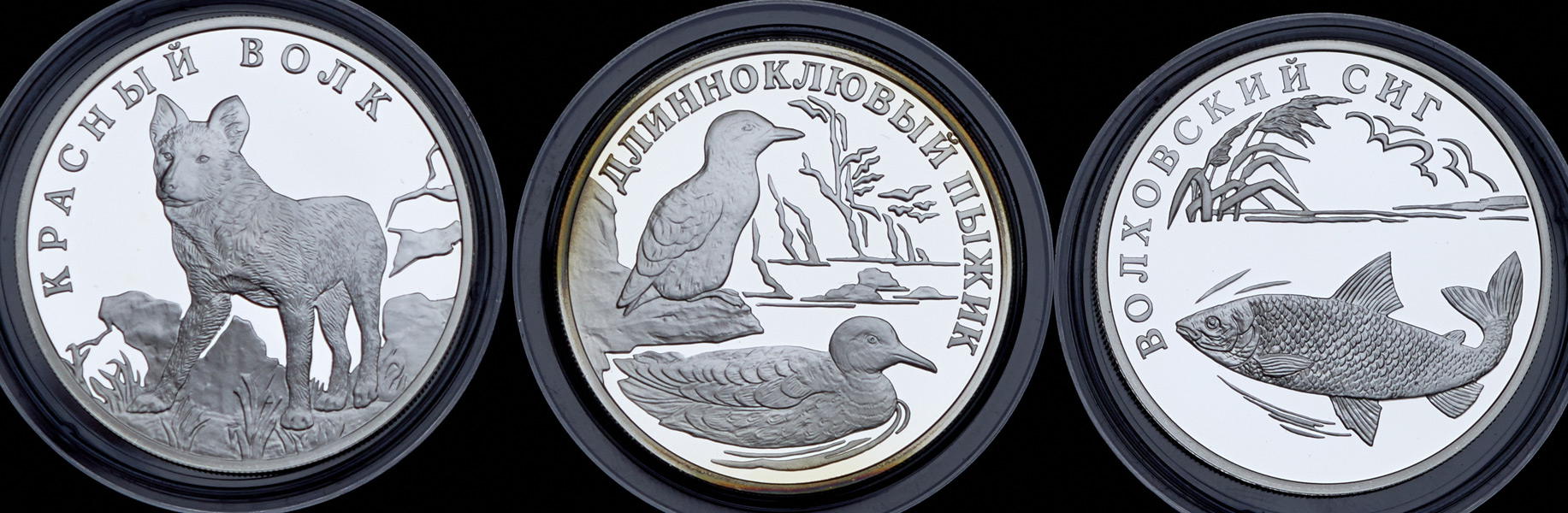 Набор из 3-х сер  монет 1 рубль 2005 "Красная книга"