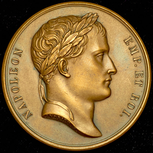 Медаль "Война 1812 года: Отступление армии" (Франция)