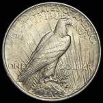 1 доллар 1924 (США)