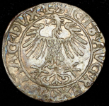 Грош 1556 (Польша)