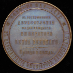 Медаль "200 лет со дня рождения Петра I" 1872