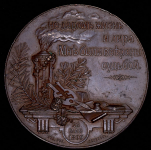 Медаль "100-летие со дня рождения А С  Пушкина" 1899