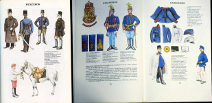 Набор из 2-х книг "Военная униформа"