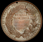 Медаль "Международная выставка гигиены и спасения погибающих" 1876 (Бельгия)