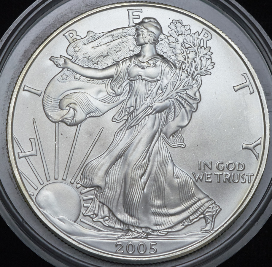 1 доллар 2005 (США)