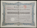 Акция 1000 марок 1906 "Machinenbau-Aktiengesellschaft Markt-Redwitz vorm. Heinrich Rockstroh"
