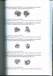 Книга Злобин Г В  "Дербентский эмират Суламидов и его монеты 530-600 г х /1135-1203 гг " 2021
